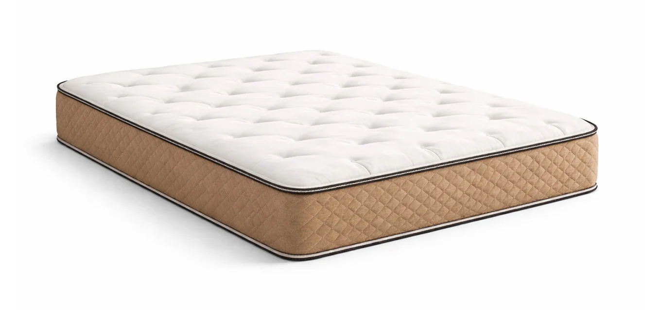Spotty Kotty Queen Size Mattress Cleaning Placer Sacramento