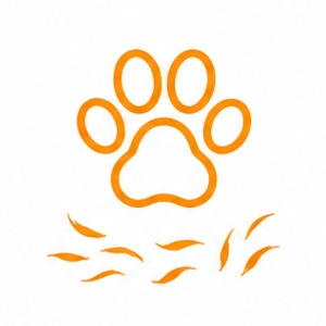 Spotty Kotty Upholstery Cleaning – Professional Cleaning in Rocklin, Pet hair and pet-related soiling