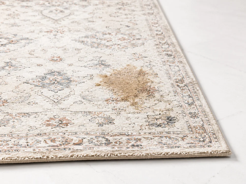 Important Note About Stains and Delicate Rug Fibers