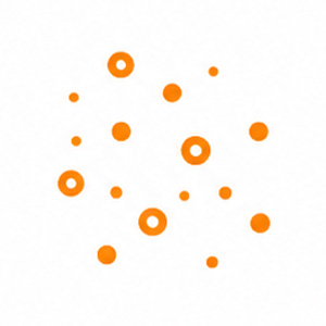 Spotty Kotty Mattress Cleaning – Professional Cleaning in Rocklin, Dust and dry soil
