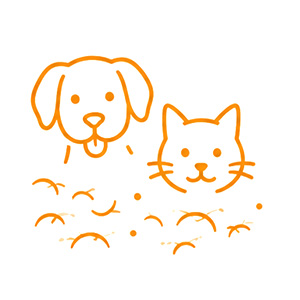Spotty Kotty Area Rug Cleaning – Professional Cleaning in Rocklin, Pet odors and accidents