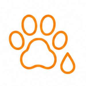 Spotty Kotty Mattress Cleaning – Professional Cleaning in Rocklin, Pet urine contamination